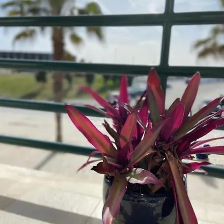 Atlantic Lodge, 1ª Linha De Praia! דירה קוסטה דה קפאריקה